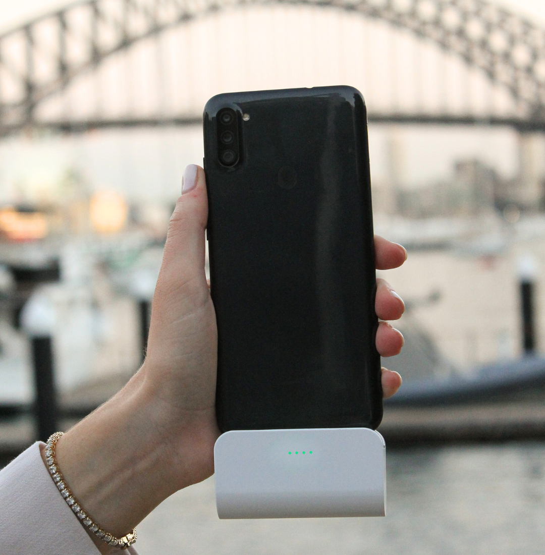 Zip Zap Christmas Bundle